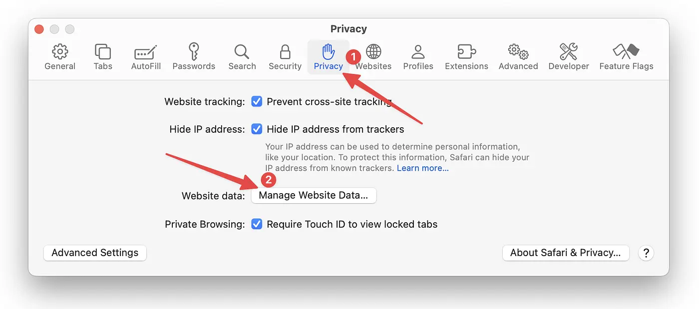 Select the Privacy tab from the Settings window, and then click Manage Website Data...