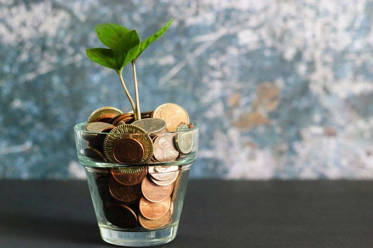 Image of a plant growing inside a vase with coins